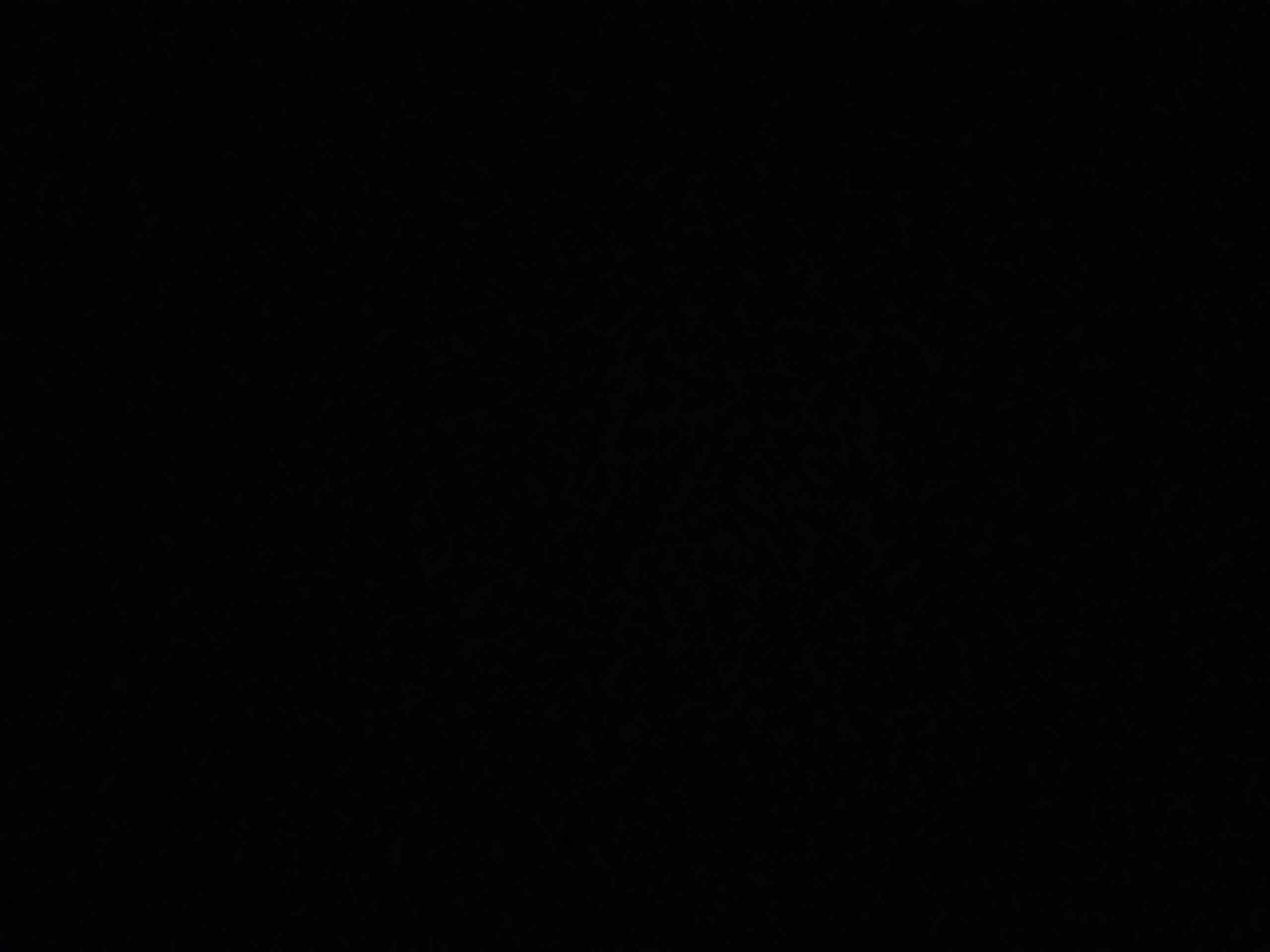 Çeviri hizmeti yapabilirim