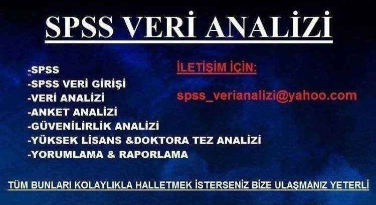 İstatistiksel Analizler spss