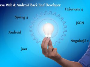 Java Web & Mobile Fullstack Developer