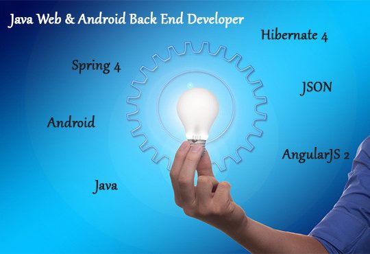 Java Web & Mobile Fullstack Developer