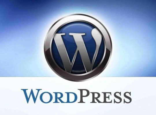 Mobil ve Seo Uyumlu WordPress Websitesi