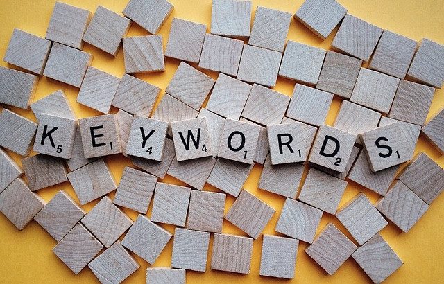 Google Adwords reklamları konusunda bir ay takibini yaparım