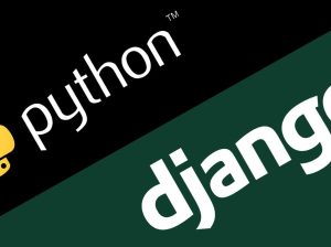 Python / Django Web Developer