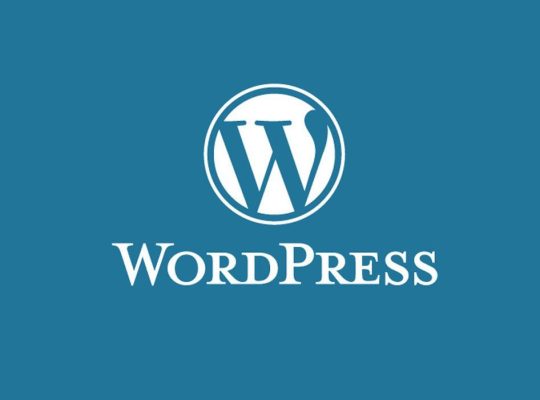 WordPress hazır tema kurulum site ayarları