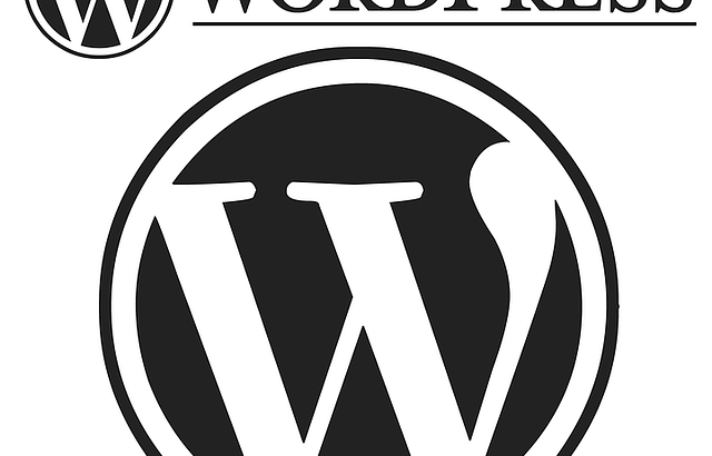 WordPress sitenizi yapabilirim.