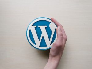 WordPress tabanlı web sitesi hazırlanır