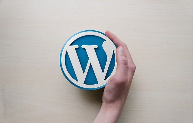 WordPress tabanlı web sitesi hazırlanır