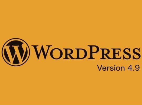 WordPress kurulum ücreti