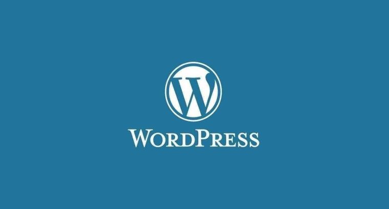 WordPress Kurulum / SEO