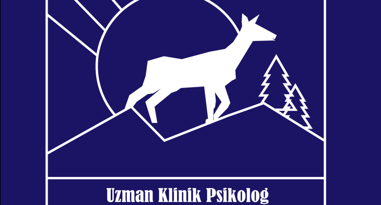 Tamamen size özel ve profesyonel programlar kullanarak logo tasarımı yapıyorum