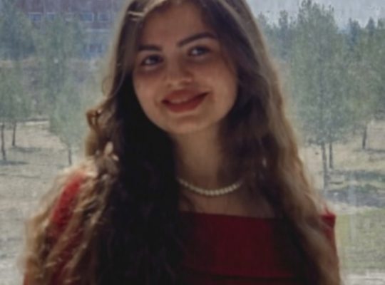Arapça, Kürtçe ve Türkçe dillerinde profesyonel çeviri