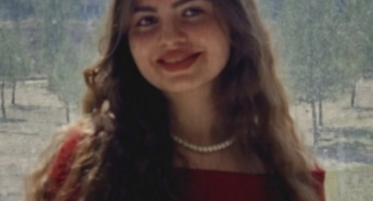 Arapça, Kürtçe ve Türkçe dillerinde profesyonel çeviri