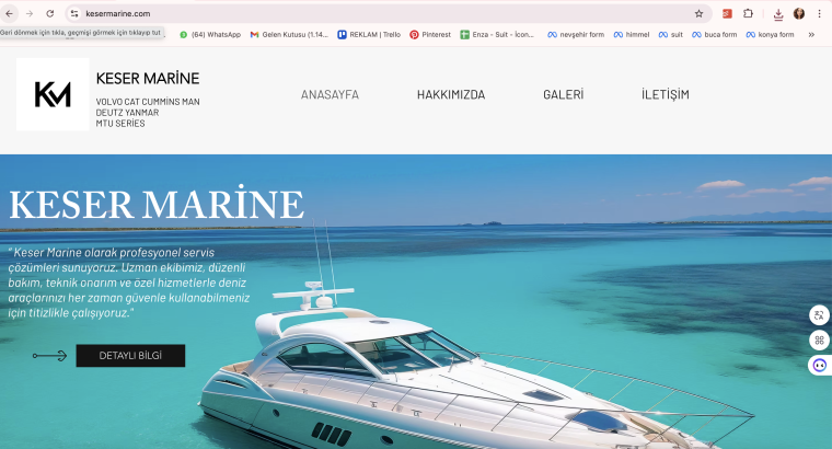 Web Sitenizdeki sorunları düzeltip bakım yapabilirim