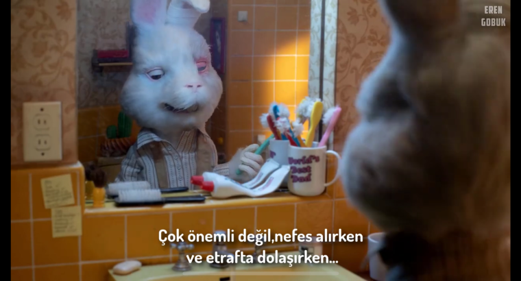 Çeviri hizmeti yapabilirim