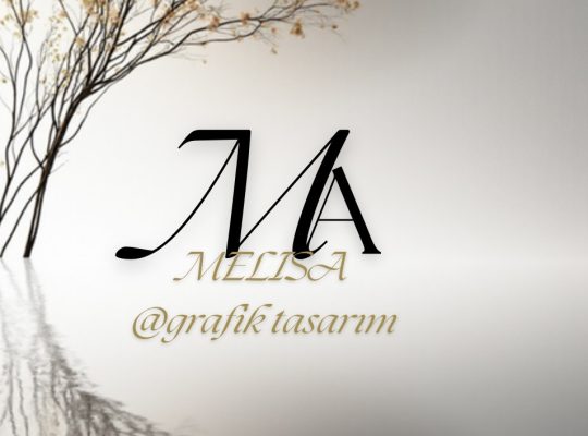 Logo Tasarımı Yapabilirim