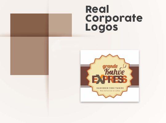 Firmanız için profesyonel düzeyde benzersiz logo tasarlarım